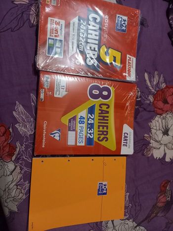 Lot scolaire cahiers et bloc notes neuf
