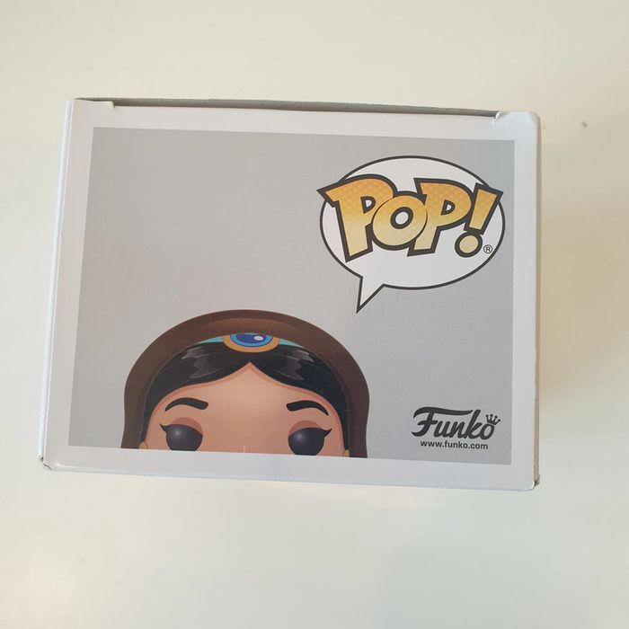 Funko Pop Jasmine chase #477 face avant de la boite décoloré par le soleil - photo numéro 5