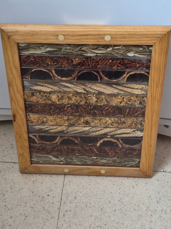 Plateau - photo numéro 2