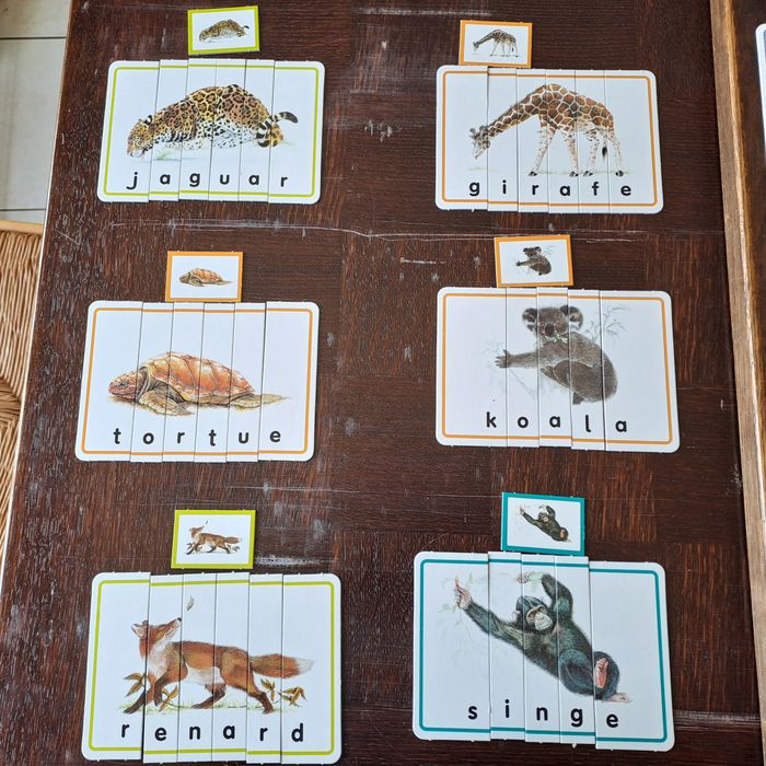 jeu 1ere lecture - photo numéro 6