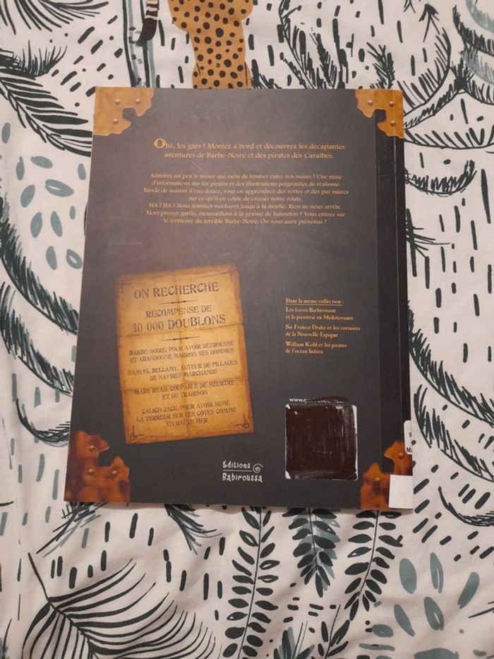 Barbe-Noire et les pirates des caraïbes - photo numéro 10