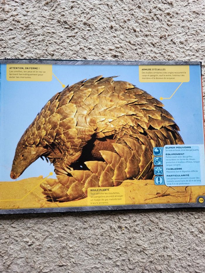 Livre documentaire enfants Zoom sur les animaux d'Afrique - photo numéro 10