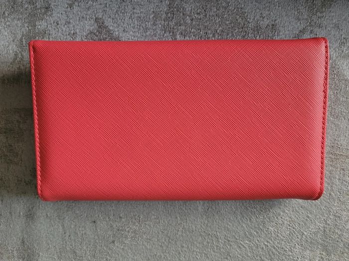 Beau compagnon corail - photo numéro 2