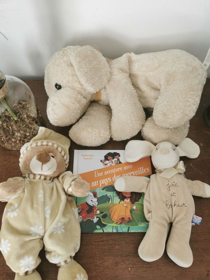 Lot peluches et livres jouet - photo numéro 3