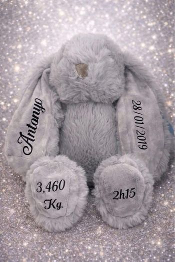 Peluche personnalisée 