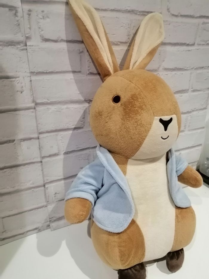 Grand gros lapin picoti - photo numéro 2