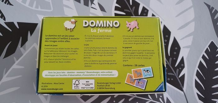 Jeu domino - photo numéro 3