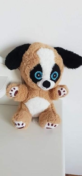 Peluche chien 🐕