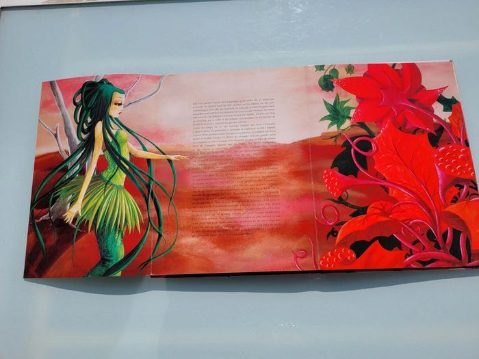 Très beau livre grand format Magiciennes du Monde (64) - photo numéro 15