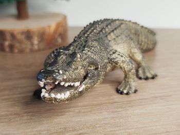 Schleich Crocodile Figurine Animal de la savane