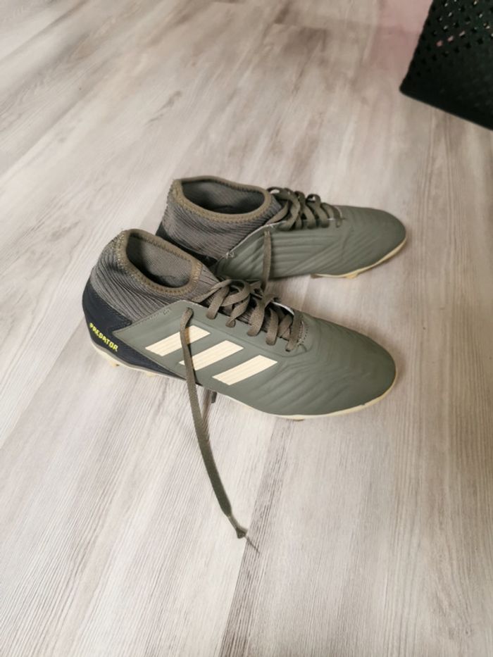 Predator adidas