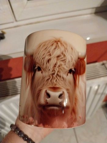 Mug vache type Highland