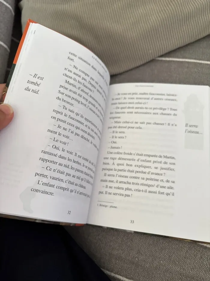 Livre le faucon déniché - photo numéro 2