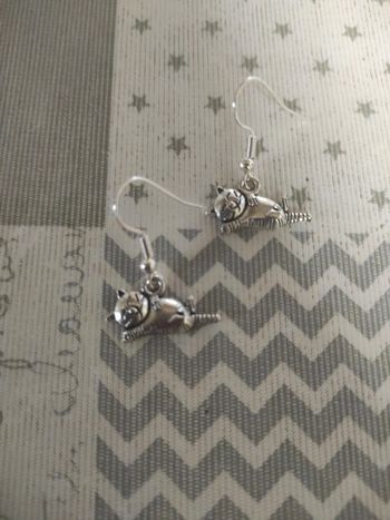 Boucles d'oreilles chat  🐱