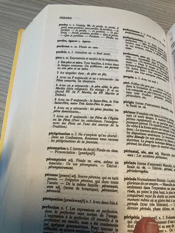 Gros dictionnaire des pièges et difficultés de la langue française - photo numéro 5