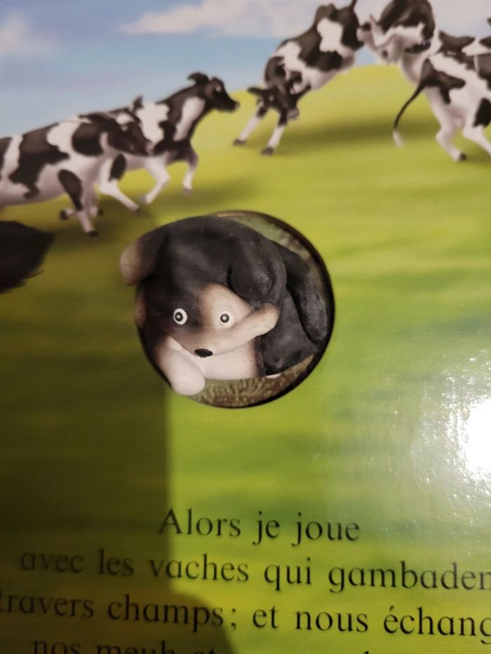Livre marionnette chien - photo numéro 7