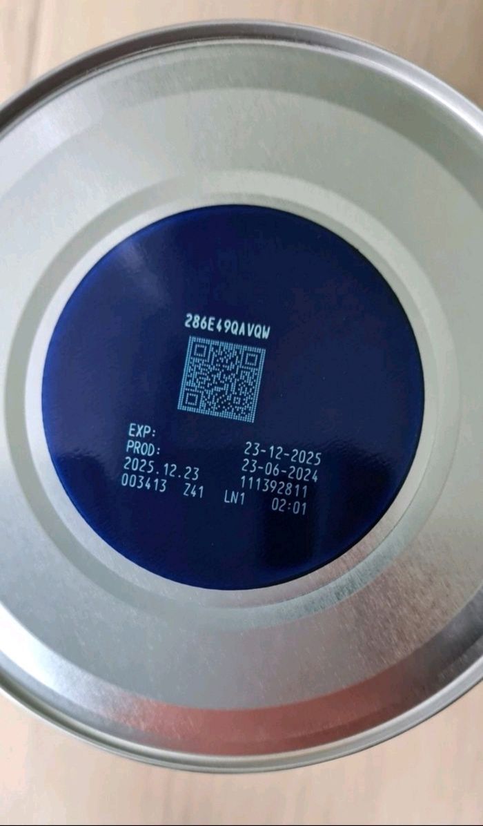 Gallia procesa 2ème âge - photo numéro 2