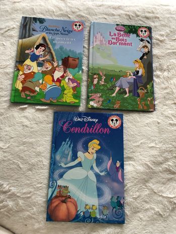 Lot de 3 livres princesses Disney