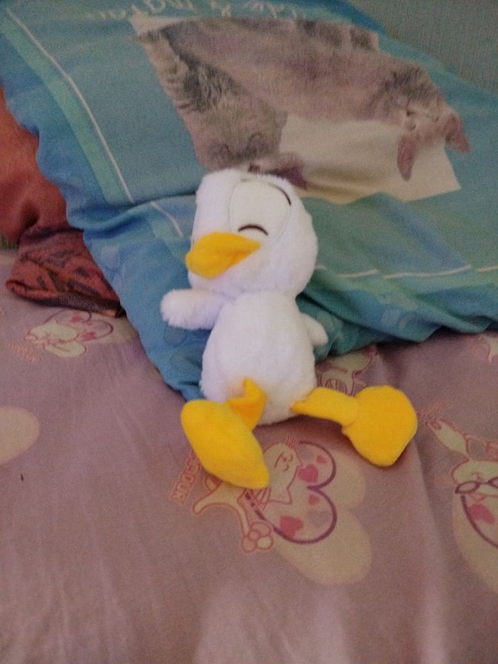 Peluche