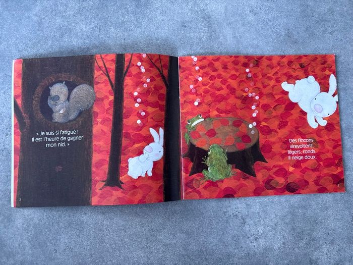 Livre « neige » - photo numéro 3