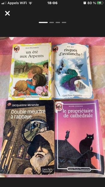 Lot 4 livres castor poche
