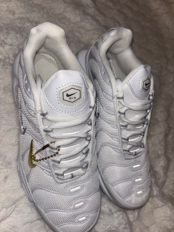 Tn blanche