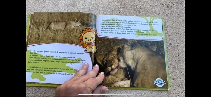 Livre TOut savoir sur le lion  ushuaia - photo numéro 5