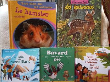 Lot livres animaux pour enfants