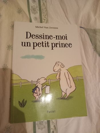 Dessine moi un petit prince