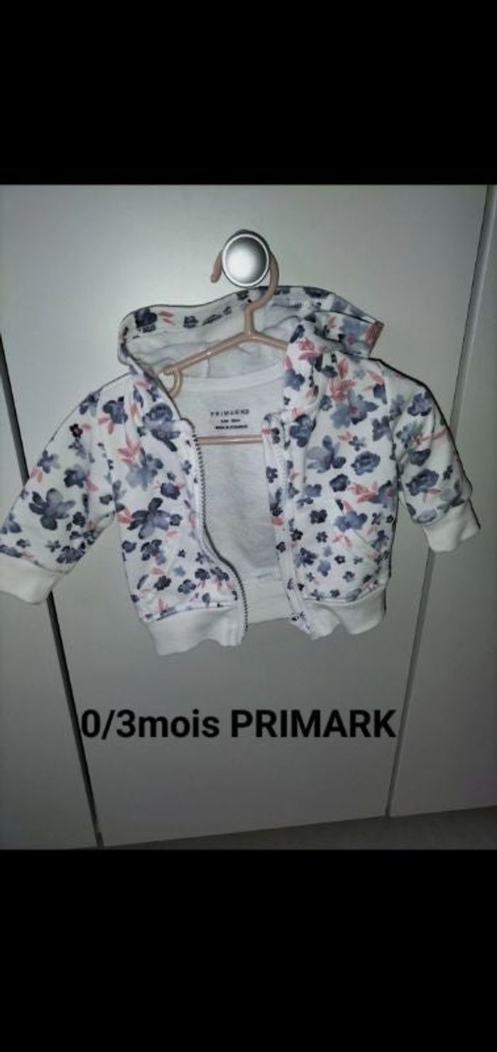 Veste