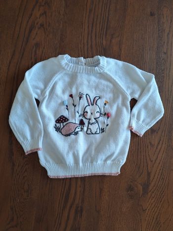 Pull Creeks Lapin 9 Mois