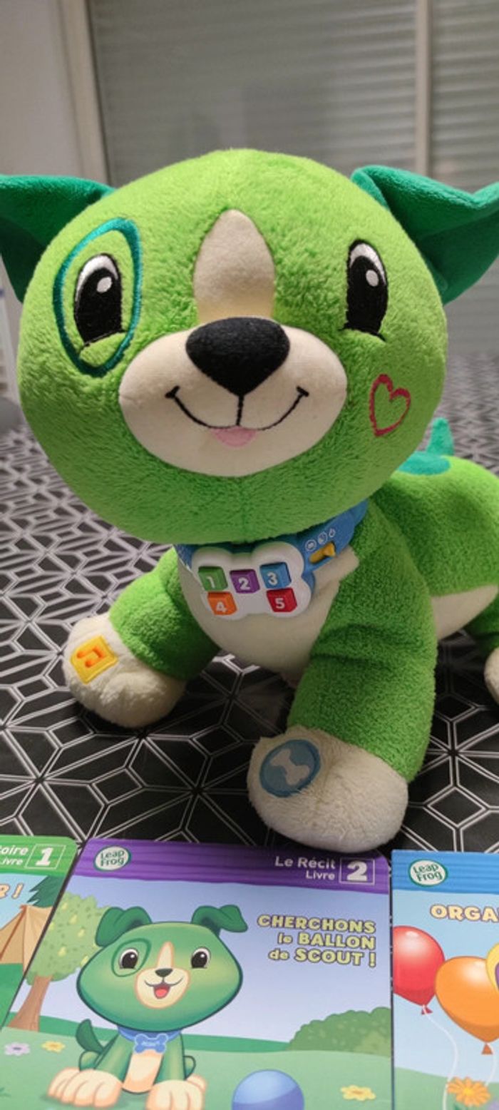 Lis avec scout leap frog - photo numéro 3