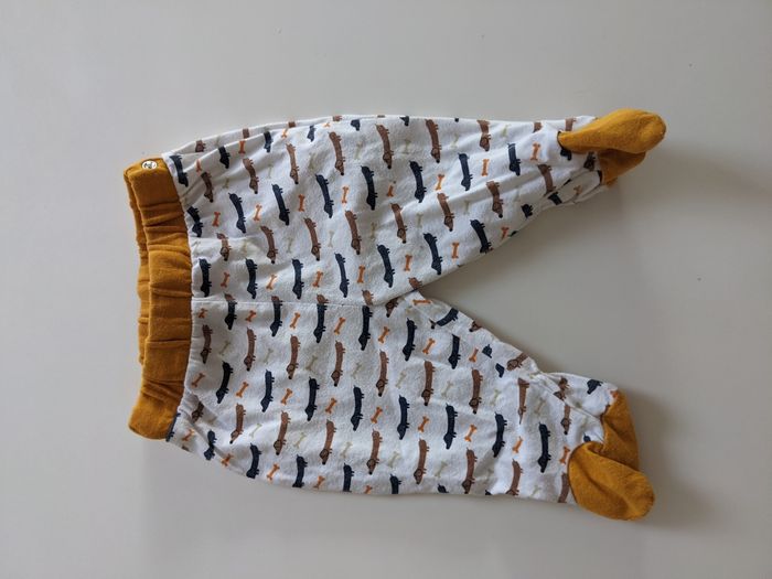 Ensemble Orchestra - 3 mois - photo numéro 4