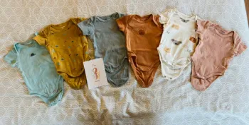 Lot de 6 bodies manches courtes