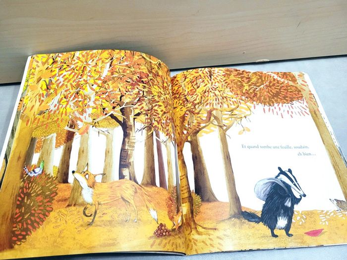 🌺 Livre (école des loisirs) : Le grand ménage - photo numéro 6