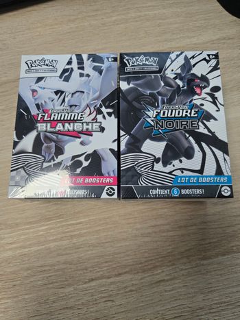 Lot de 2 bundle 10.5 Flamme Blanche et Foudre Noire Pokémon
