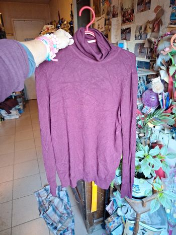 Pull  col roulé camaïeu taille 2 38