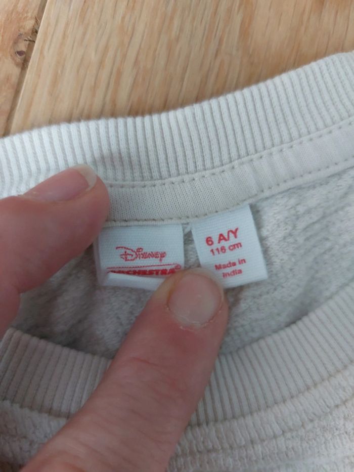 Pull Disney Orchestra - photo numéro 4