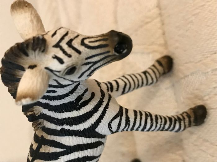 Figurine Animaux – Bébé Zèbre - photo numéro 3