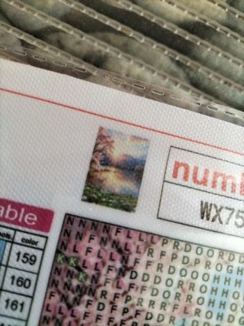 🎨Diamond Painting - Au bord de l'eau 🎨