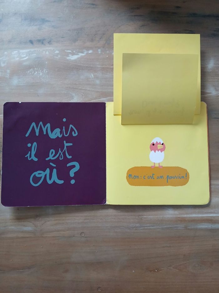 Livre a rabat_Mais il est où ? - photo numéro 4