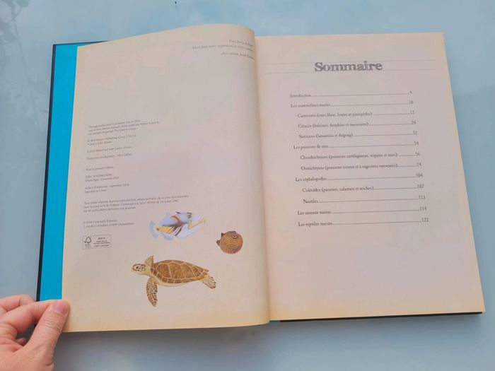 Très beau livre grand format : 🦈 Les Animaux Marins du Monde 🐋 Grenouille éditions - photo numéro 4