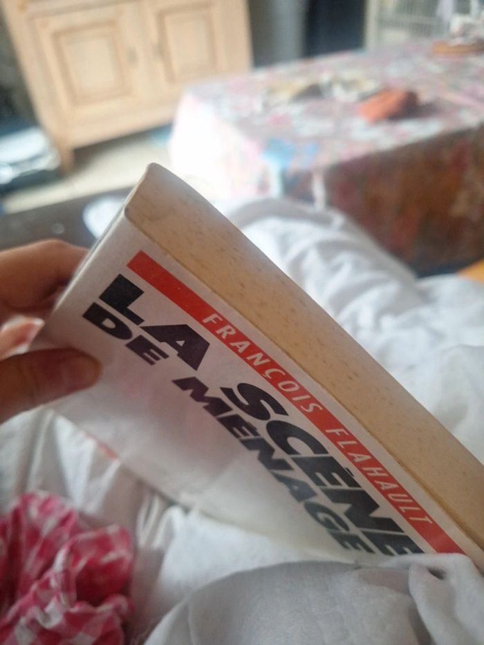 Livre la scène de ménage - photo numéro 5