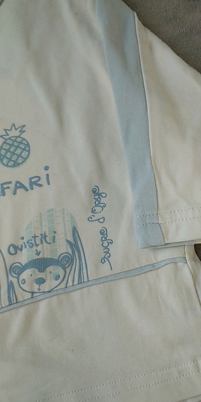 Tee shirt manches longues doublé Garçon 9 mois Sucre d'orge "Le petit safari" 100% coton - photo numéro 6