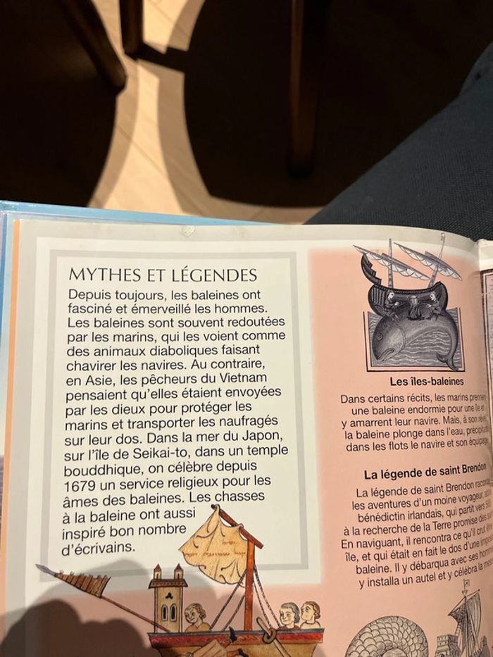 Livre pour enfants la grande imagerie fleurus les baleines - photo numéro 4