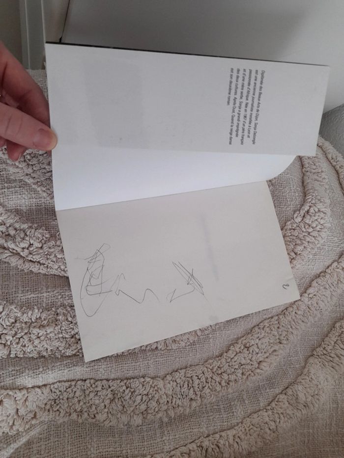 Livre Quand la neige danse de Sonja Delzongle - photo numéro 5