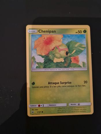 Carte pokemon chenipan