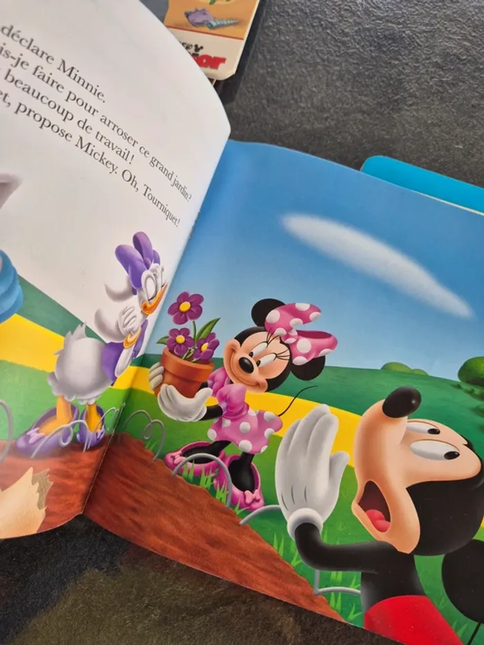 Lot de 5 Livres Disney - photo numéro 15