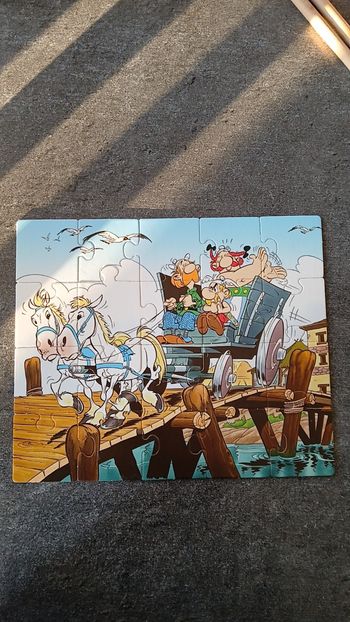 Puzzle asterix