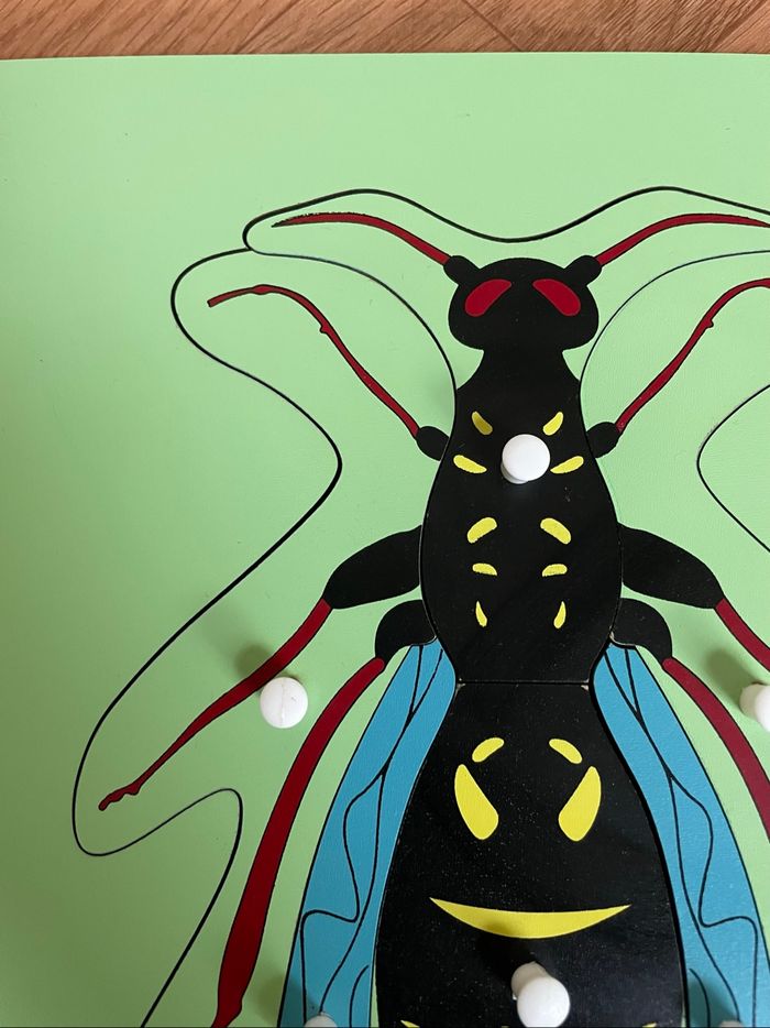 Puzzle Zoologie Montessori : La guêpe - photo numéro 2